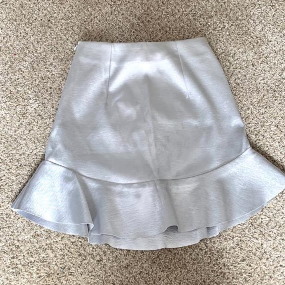 Short Silver Skirt